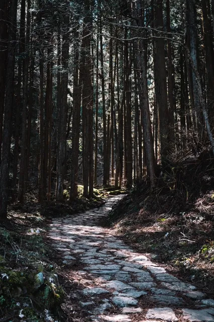 Only by visiting here can you truly experience the depth of Japan(1)