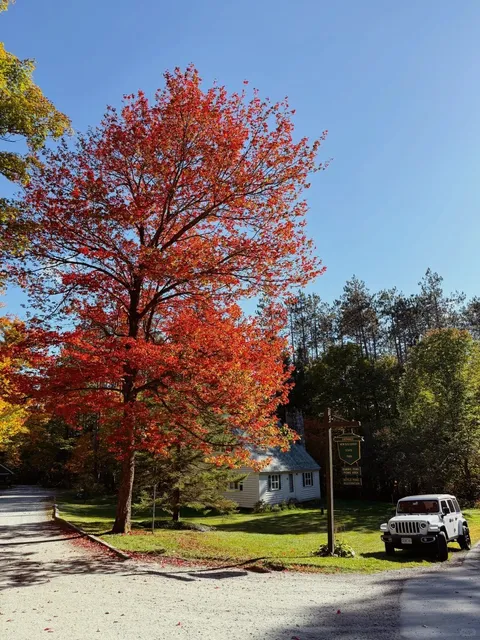 🍂 Stunning Autumn in Burlington! 