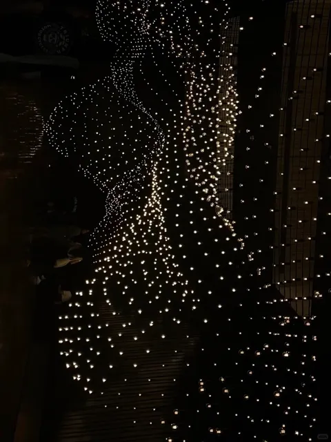 Pace Gallery Lets You See My Heartbeat 🌟