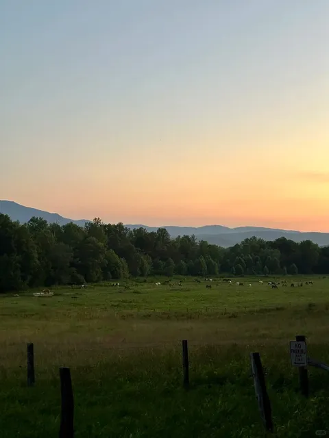 Cades Cove Night Tour & The Stargazing Volunteer 🌌🦉