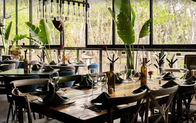 Wine Park: A Vineyard Oasis in San Luis Potosí