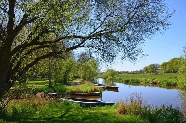 🌿 Brière Regional Natural Park – A Hidden Wetland Paradise! 🚣‍♂️🐦