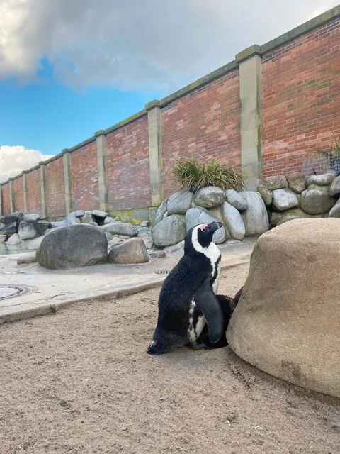 🇩🇪 Wiesbaden Zoo: A Free Wild Adventure😍