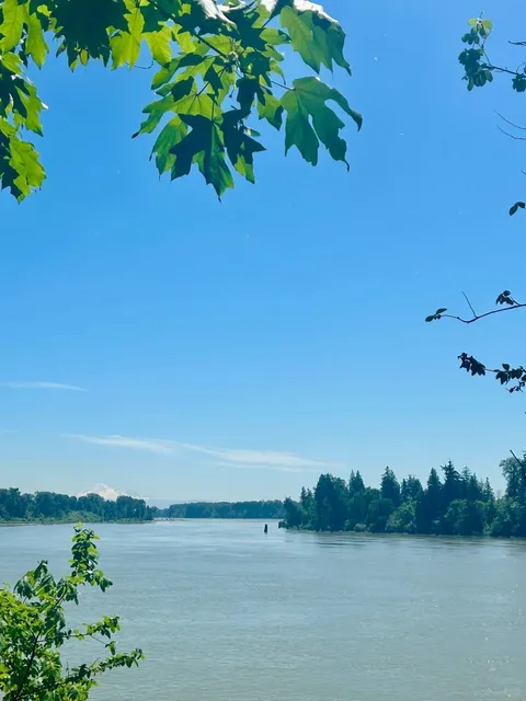 Exploring the Logging Legacy Along the Fraser River 🌲🚢