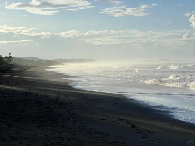 Meeting the Hatching Season of Little Sea Turtles 🐢