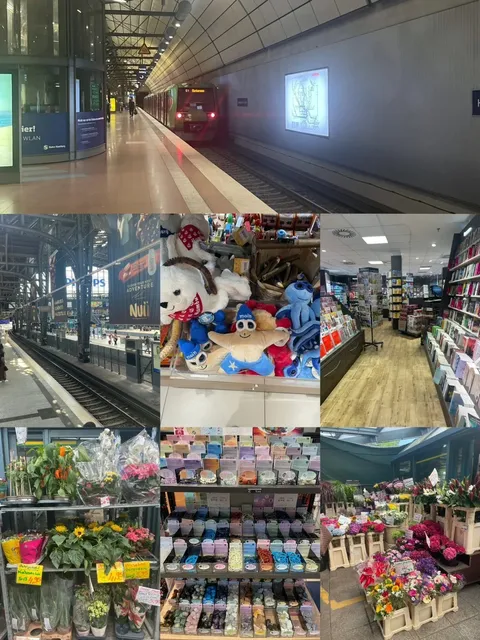 🇩🇪 My 5-Day Hamburg Adventure: Conferences & Quick Bites! 🏃‍♀️💨