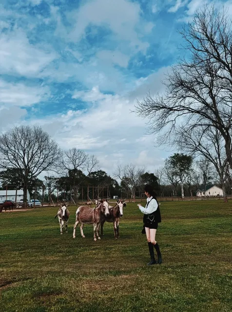 Houston | Hidden Gem