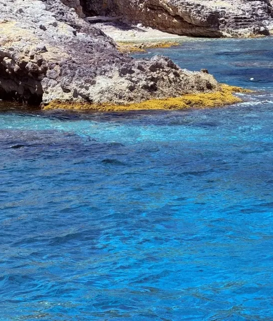 🇭🇷 Why Didn't Anyone Tell Me Split Was This Delicious?!