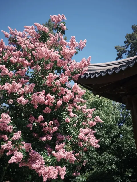 My Top 100 Little Energy-Boosting Things to Do in LA 🌿💫