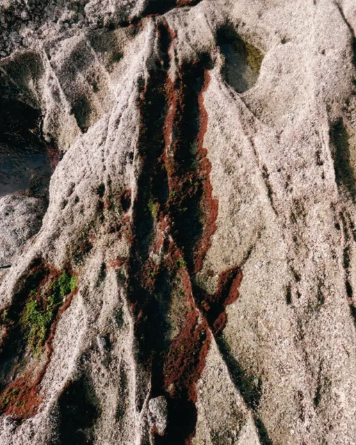 Laguna Beach: A Hidden World in the Tide Pools 🌊✨