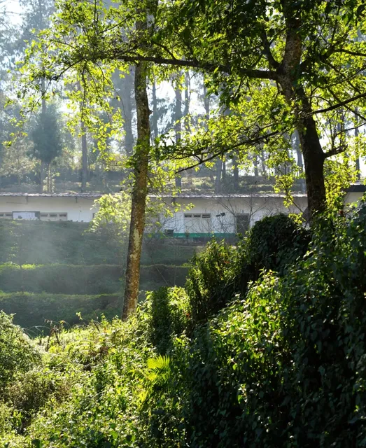 Here comes the ultra-detailed guide to Nagarkot! ❗