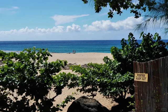 Hawai‘i Family Run