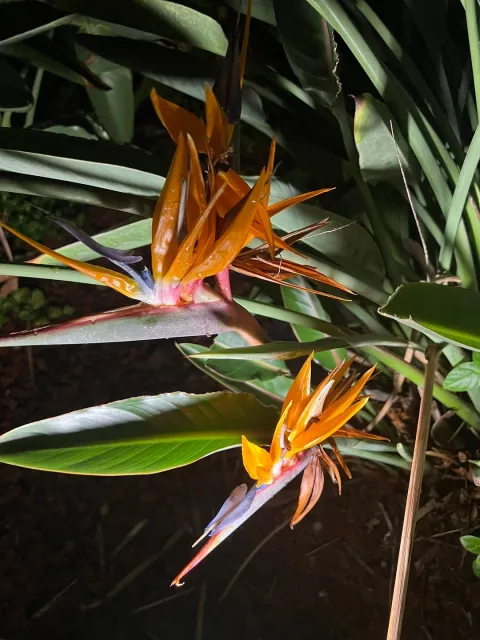 Always an Enjoyable Trip