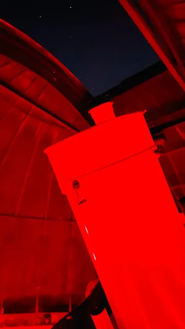 🌟 Houston’s Hidden Gem: Brazos Bend State Park & George Observatory 