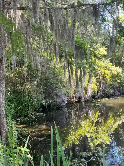 A Glimpse into the Past: A Moving & Beautiful Visit 🌿🏛️