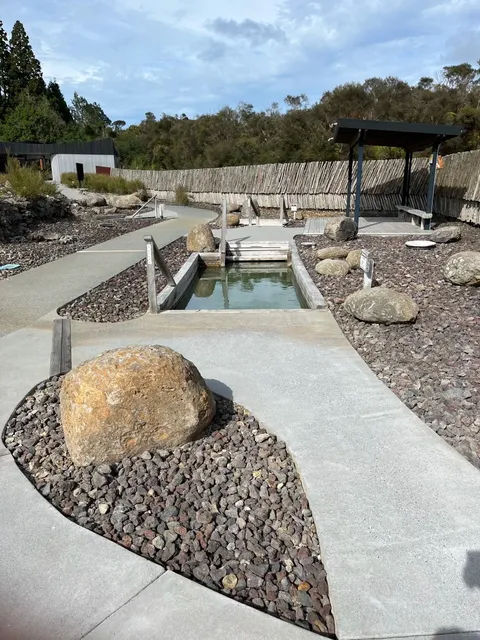 【WHV】North Island Road Trip – Exploring New Zealand’s Far North 🚗🌊