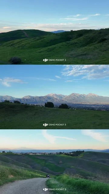📍 LA's Beautiful Hiking Trail | Rapeseed Flowers in Bloom! 🌼