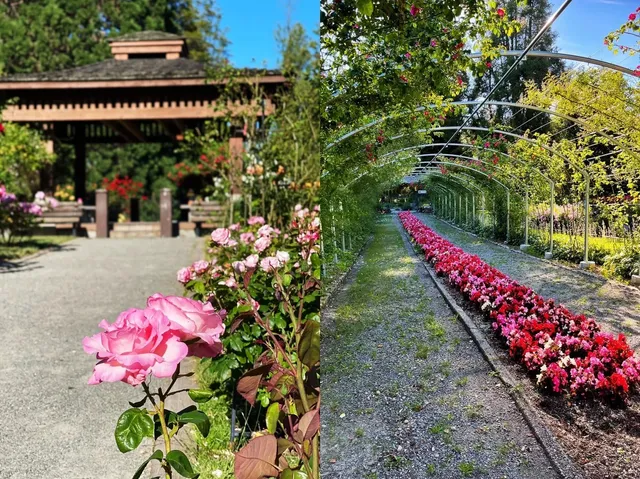 Seattle Day Trip | Half-Day Tacoma Adventure 🌞🏔️