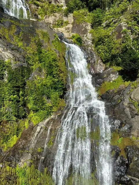 🌴 Kuranda Rainforest: Lost in the Real-World Avatar World