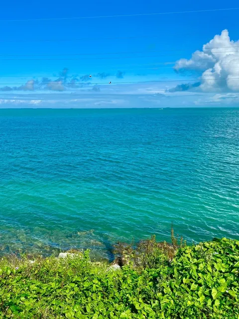 Miami + Key West + Everglades: 4D3N Road Trip Guide