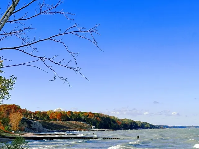 🌳🍂 Hidden Gem for Autumn Views