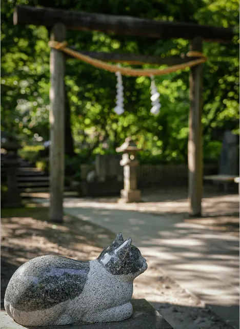 Kagoshima Travel 