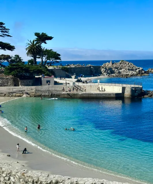 Countdown Day 105: An Afternoon Feeding Squirrels by the Sea 🐿️