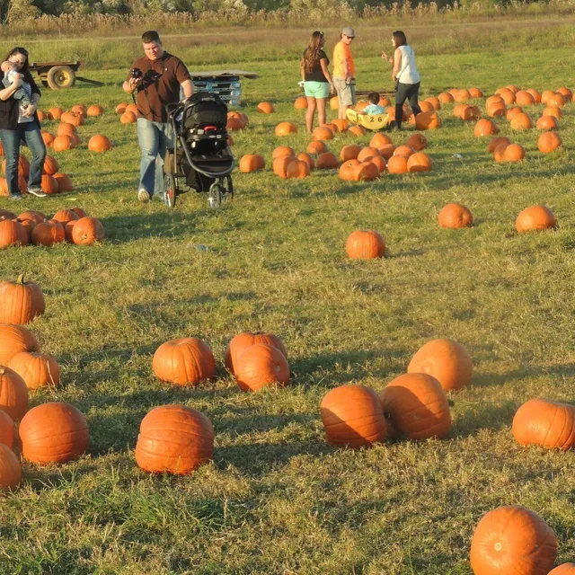 A New Way to Have Fun with Kids: Houston’s Most Fun Farm! 😻