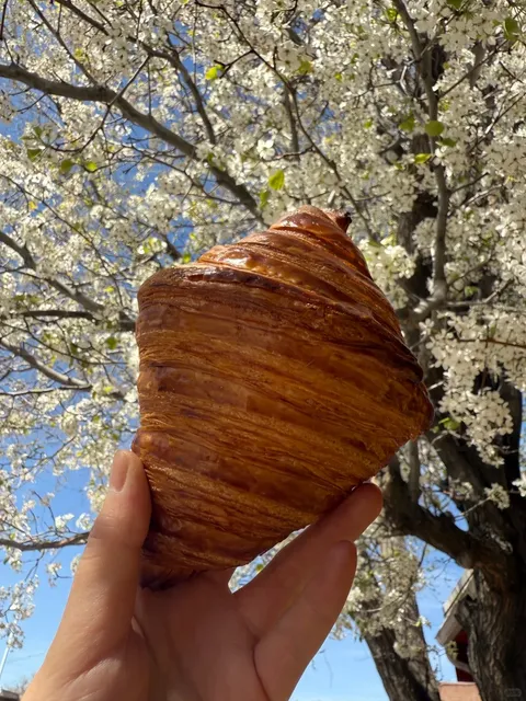  Albuquerque | Burque Bakehouse 🥐✨