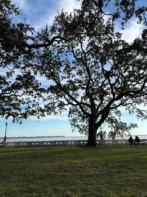 A Serendipitous Escape