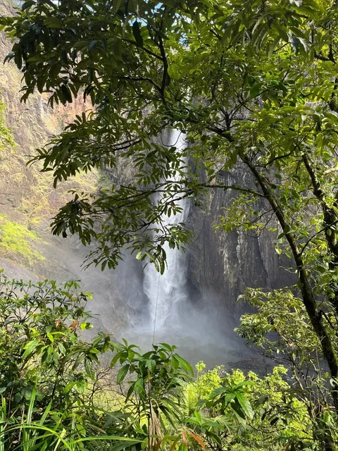 🇦🇺 Hidden Gem of Australia: Townsville Travel Guide