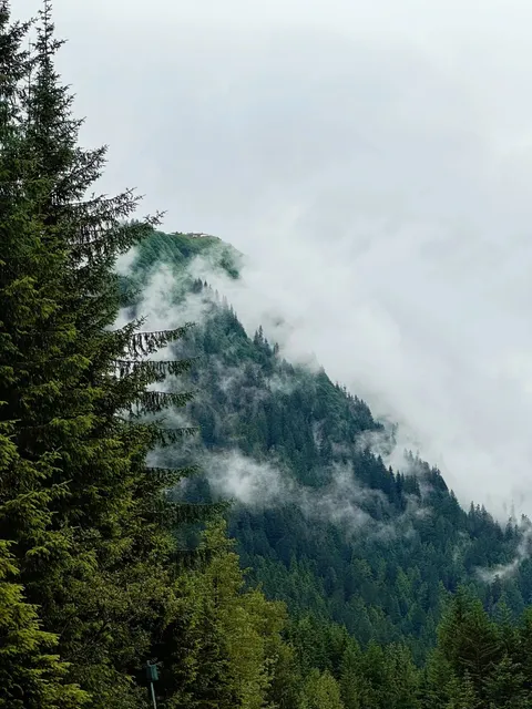 ⛰️ Juneau One-Day Travel Guide (Public Transport Version)