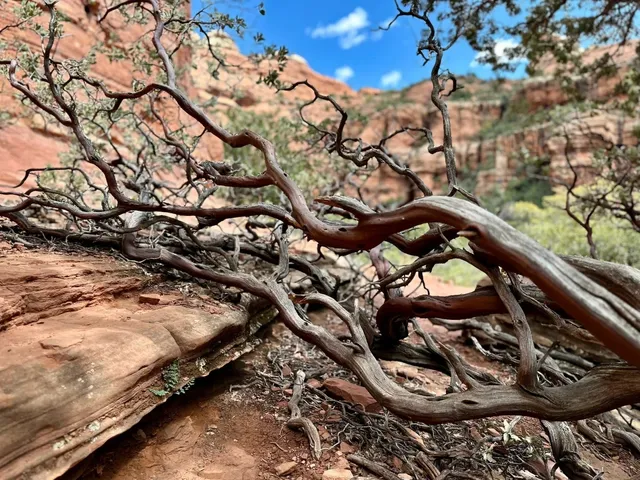 🚶‍♀️ Ultimate Hiking Guide to Sedona’s Subway Cave (Save this post!)