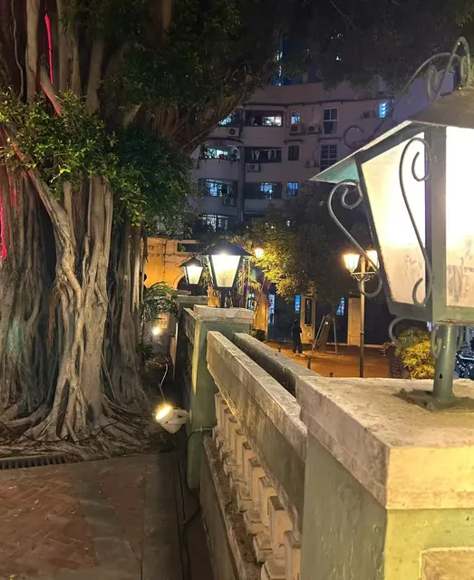 More informaton of  Fado Music you may not know 