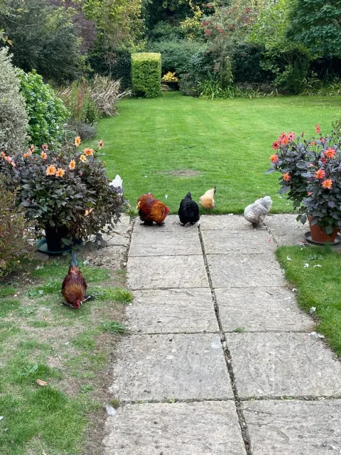 🌟 The Best of the Best! Hire This Young Man Now! 🌟