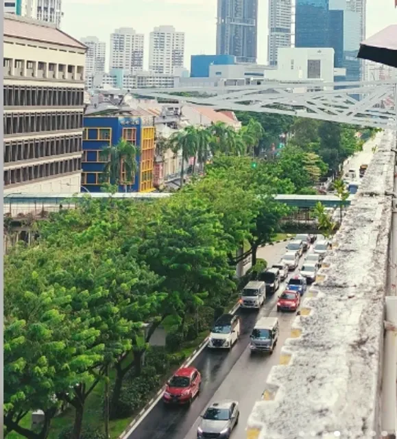 Singapore Pearl's Hill Centre 📸 Photography Tips🍃🌺