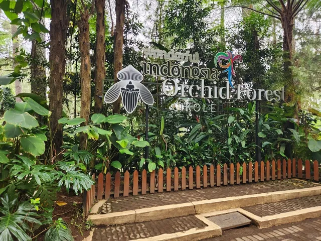 🌿【Serene Indonesia】Bandung Orchid Forest Park