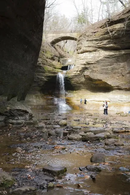 Chicago Weekly Event: Hiking Adventure! 🥾🌿