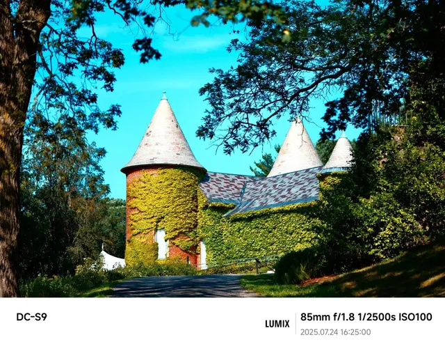 deCordova Sculpture Park - Where Art Meets Wonderland! 🏞️✨  