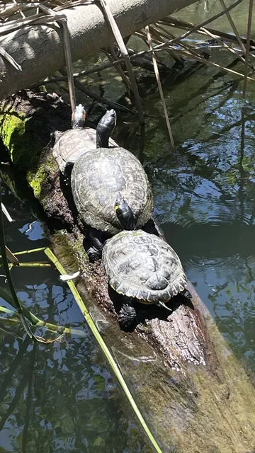 Perfect LA Weekend Spot for Hiking & Family Fun |🐟