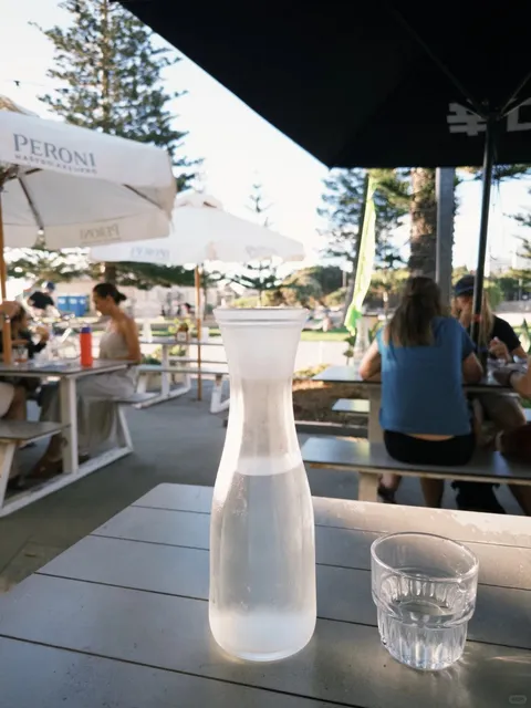 🇦🇺 Solo Trip to Rottnest Island, Perth! 🏝️✨