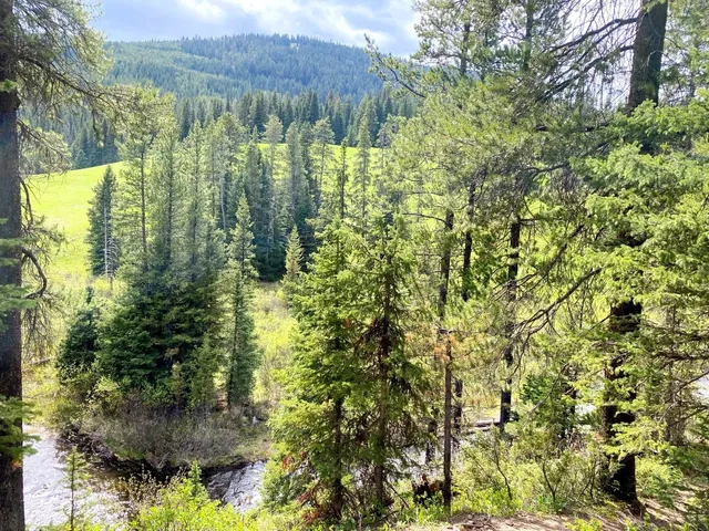 Bozeman Street Scenes 