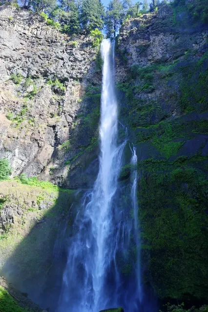 Portland: A Tax-Free Haven with Surprisingly Stunning Scenery 🌿