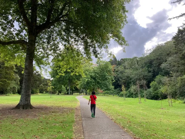 ✨ Secret Waterfall Unlocked in 30 Minutes!