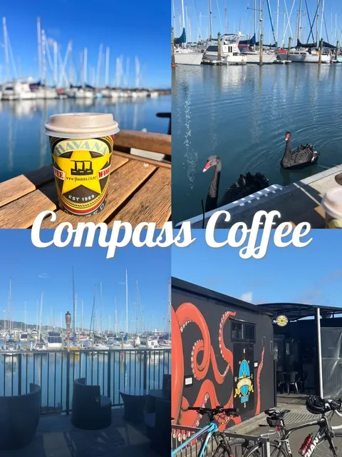 🇳🇿 Exploring Wellington | Breathtaking Seaside Cafés