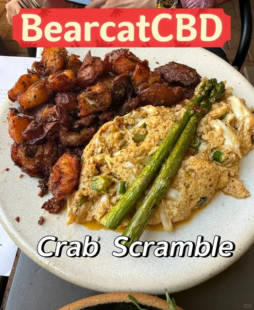 ​​BEARCAT CBD Brunch Review: Surprises & Letdowns in NOLA​​ 🥞🦀😩