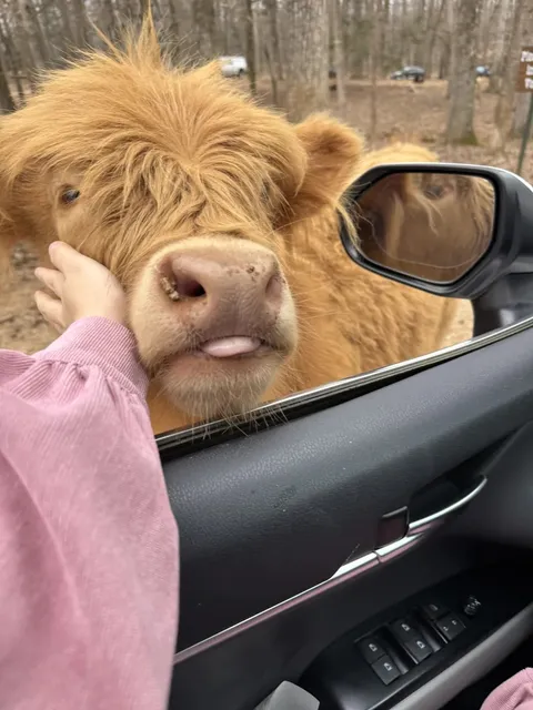 Lazy5Ranch - Where You Can Touch All the Animals