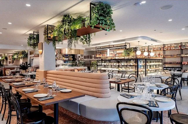 ORGANICA | Touted as Concord’s Best Restaurant 🍽