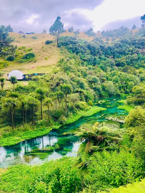 🇳🇿 Blue Spring + Mt Maunganui Day Trip from Auckland