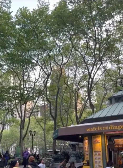 🧇 Amazing Waffles with a View! 🏞️✨